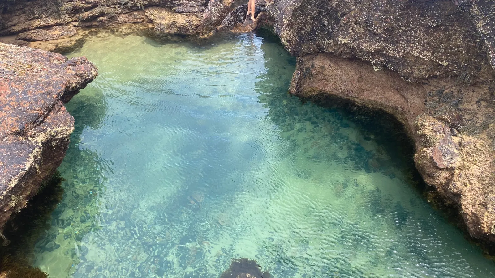 Clear turquoise rock pool nestled between coastal rocks